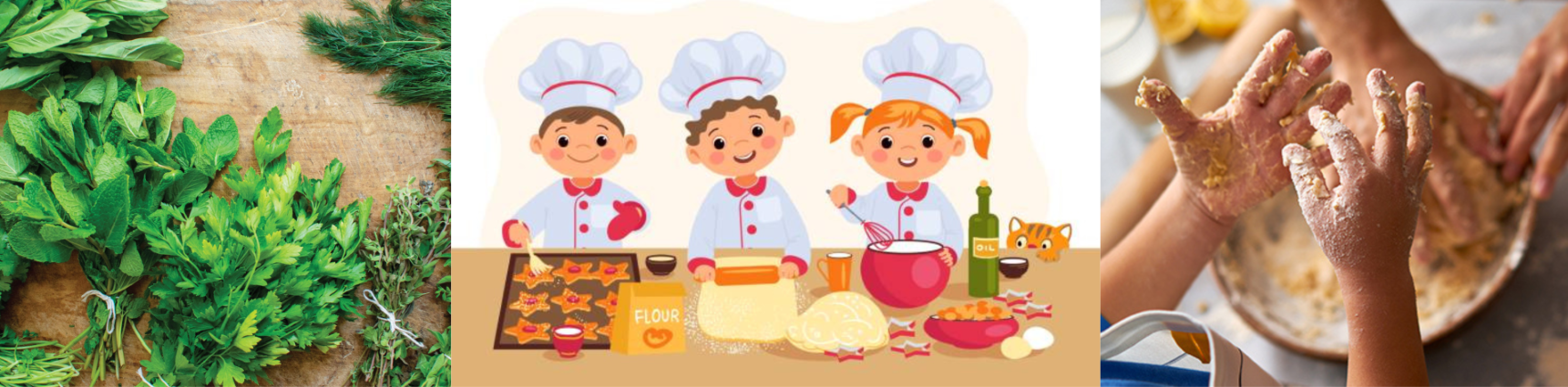 gastrobotanical activities