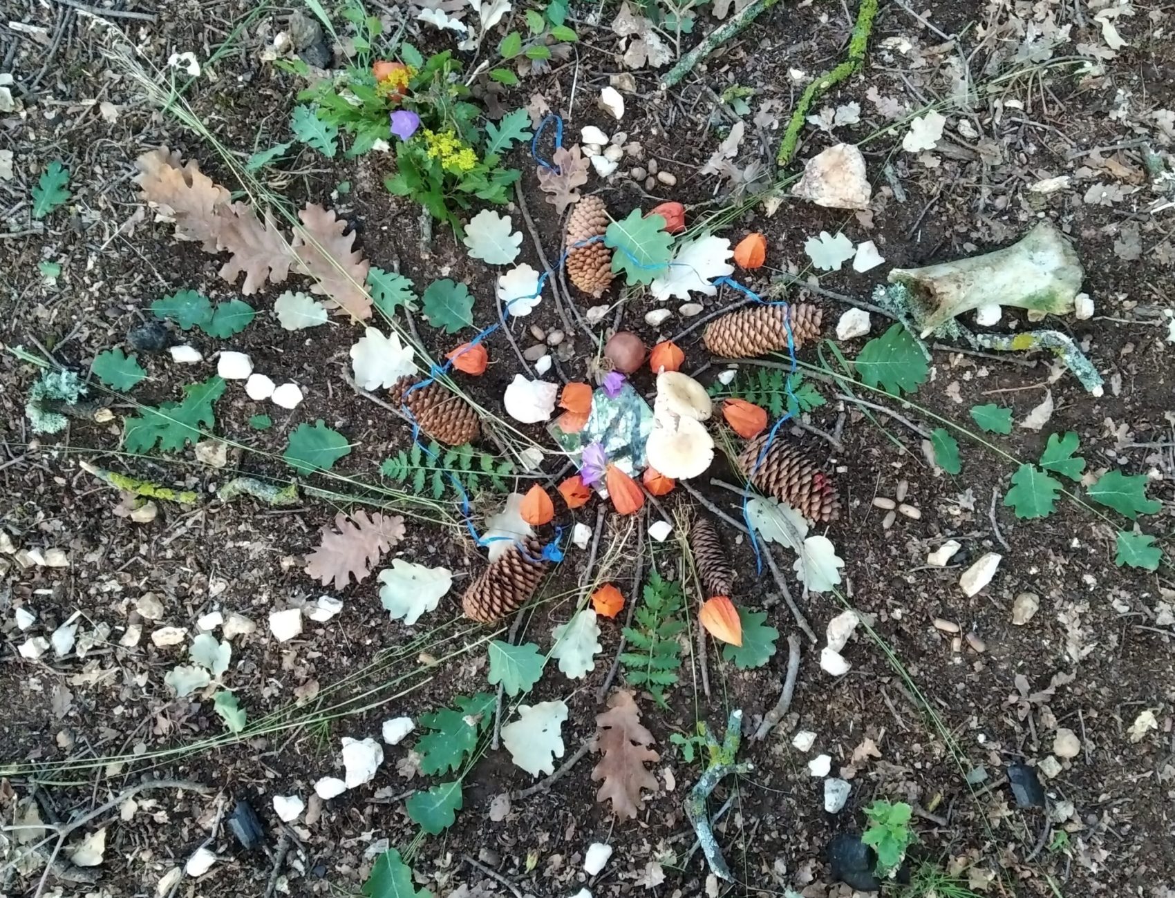 mandala in a herbal workshop